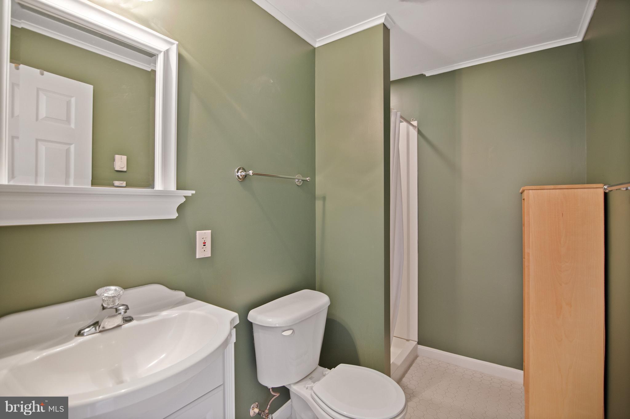 2649 Brook Valley Road Frederick, MD 21701 - Photo 26 of 30 lower level shower bath