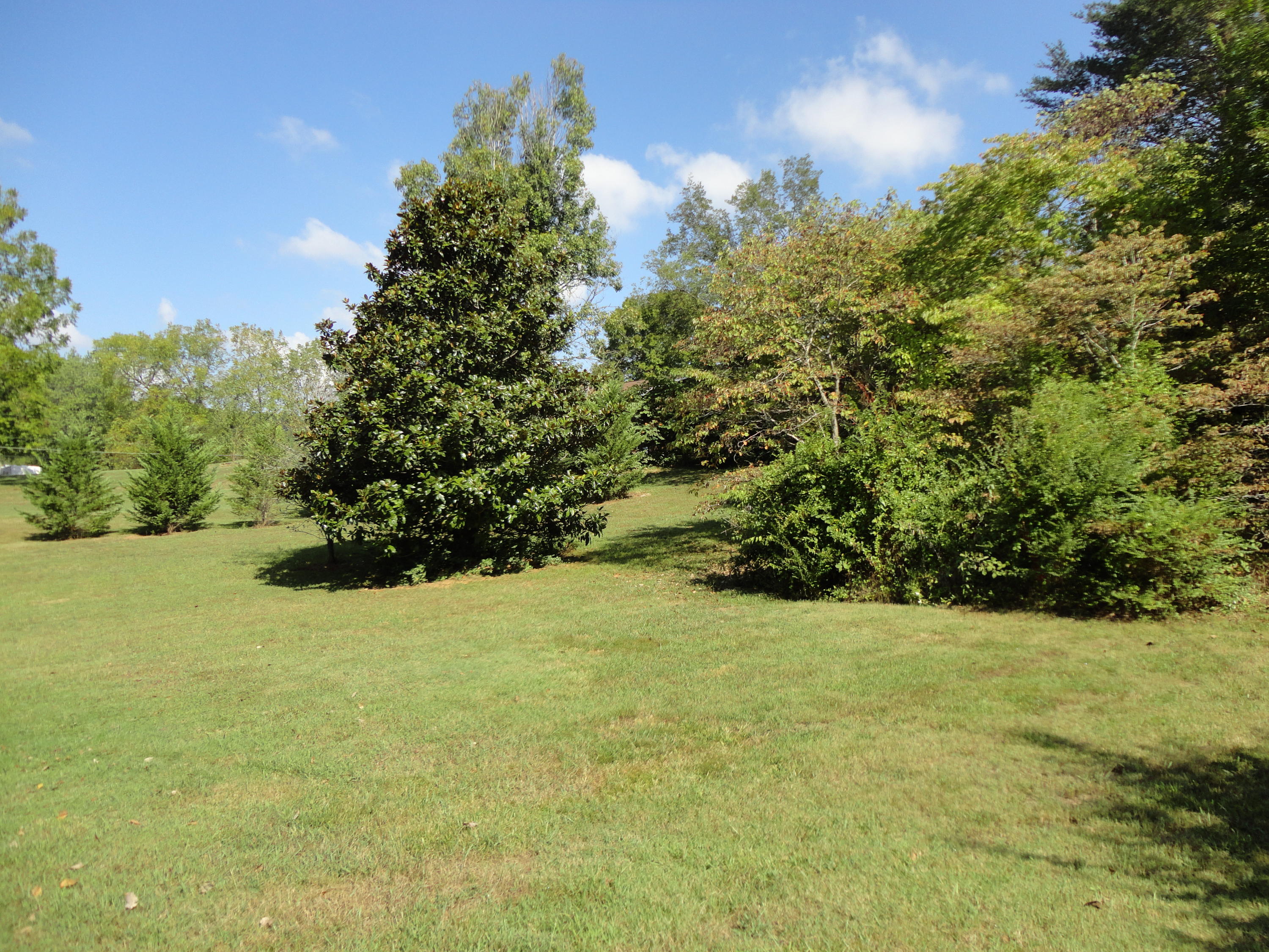 1061 Johnson Road Seymour, TN 37865 - Photo 8 of 29 Beautiful grounds...