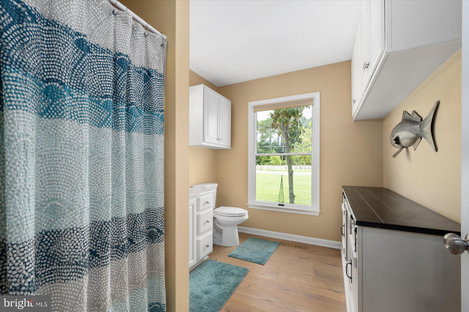 10738 Assateague Road Berlin, MD 21811 - Photo 36 of 124 Gallery Image 36