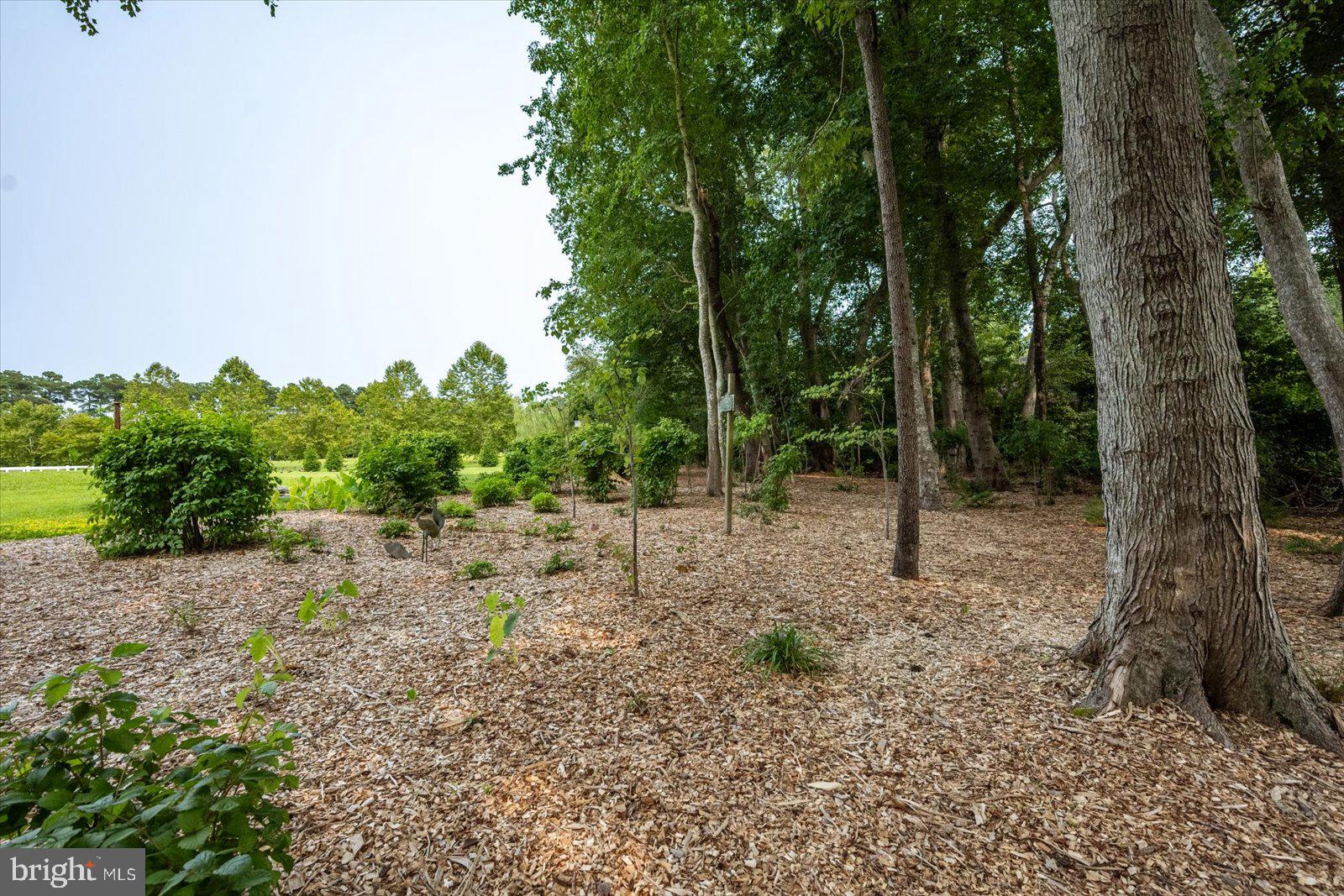 10738 Assateague Road Berlin, MD 21811 - Photo 83 of 124 Gallery Image 83