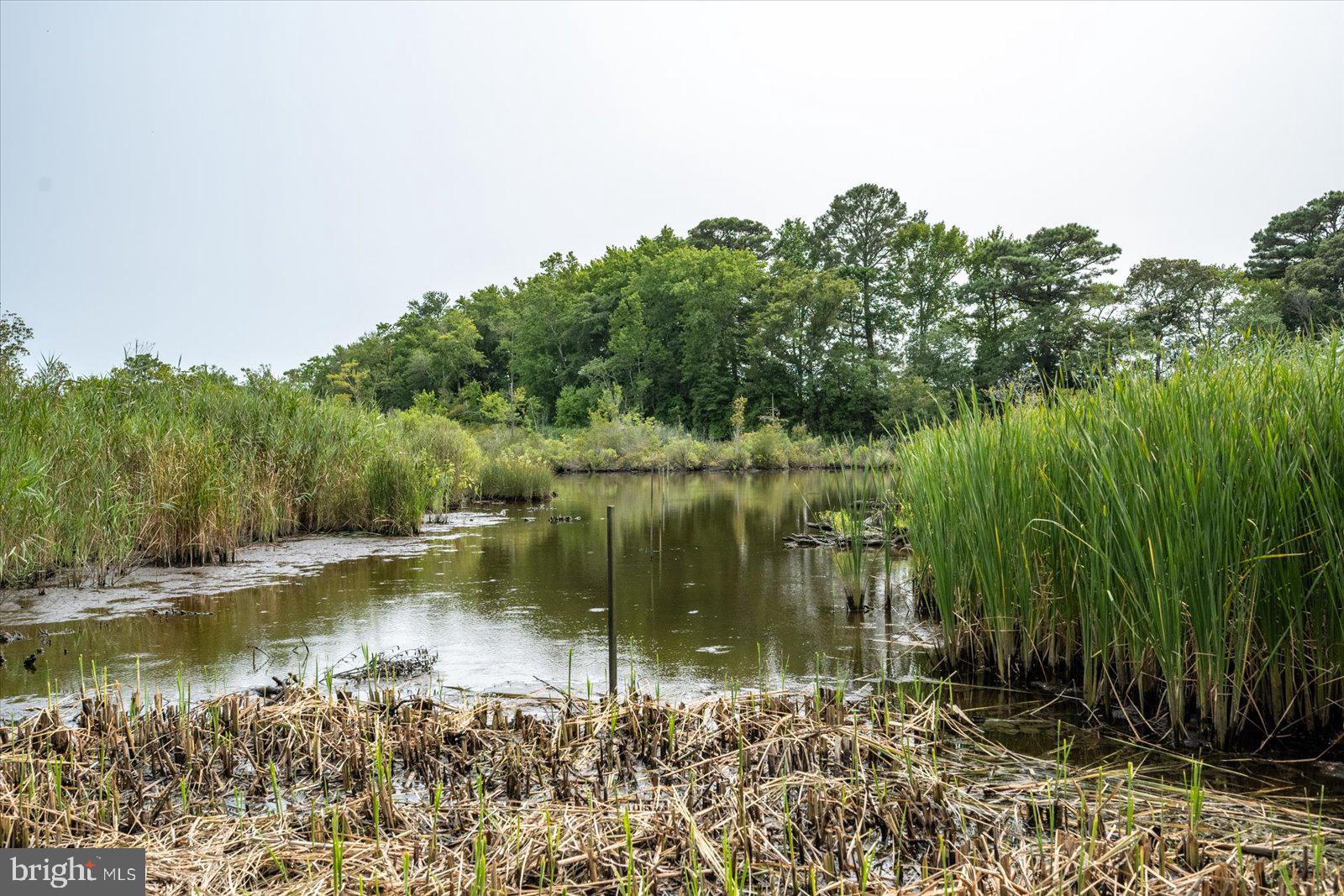 10738 Assateague Road Berlin, MD 21811 - Photo 86 of 124 Gallery Image 86