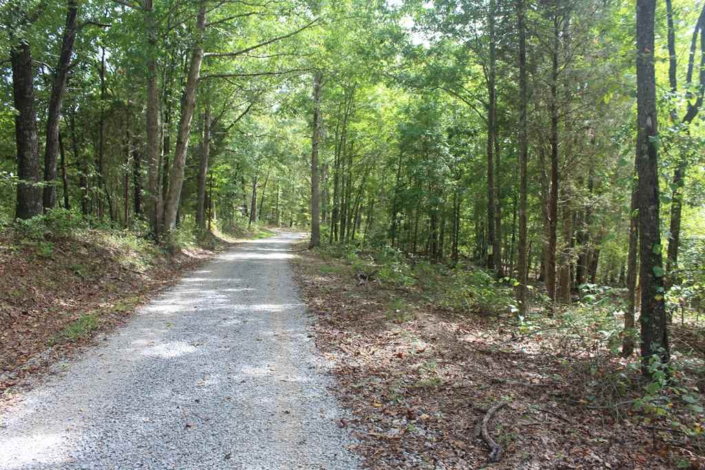 0 Poe Hill Road Elkton, KY 42220 - Photo 18 of 20 Gallery Image 18