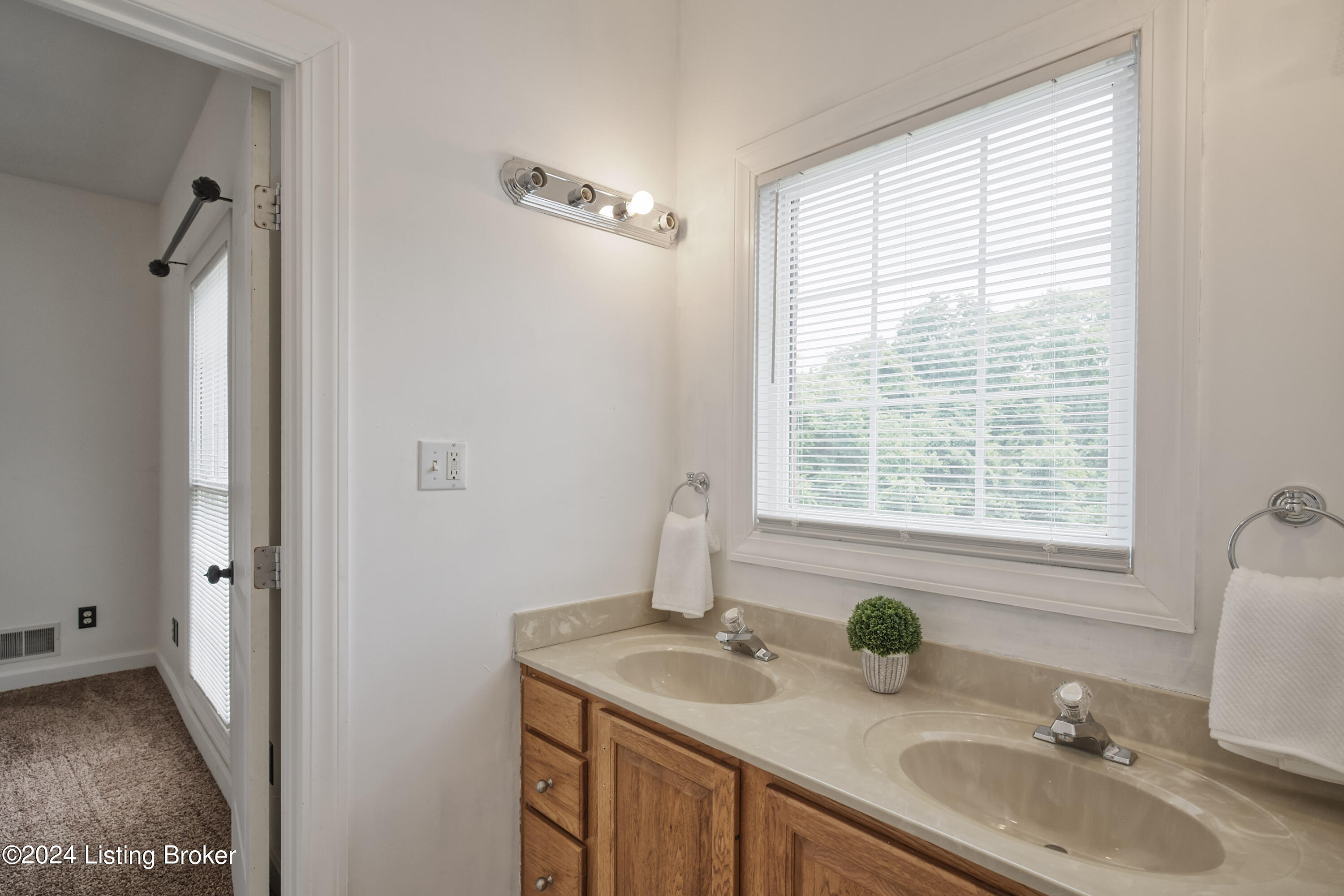9125 Broad Run Road Louisville, KY 40291 - Photo 29 of 51 Jack and Jill Bathroom