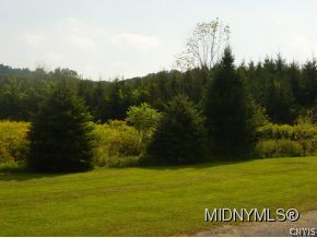 317 Old State Road Poland, NY 13431 - Photo 8 of 8 Gallery Image 8