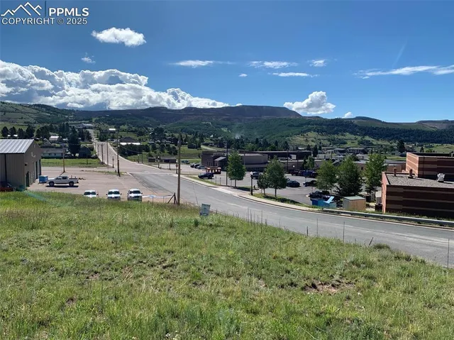 a view of a field with an ocean