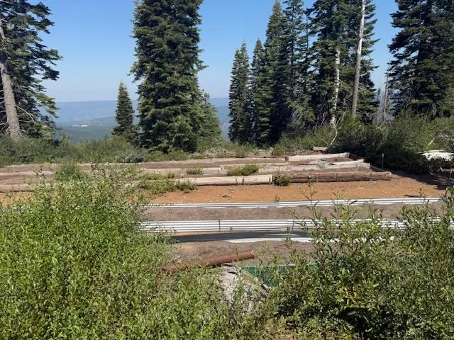 a view of yard with green space