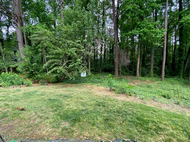 a view of a lush green space