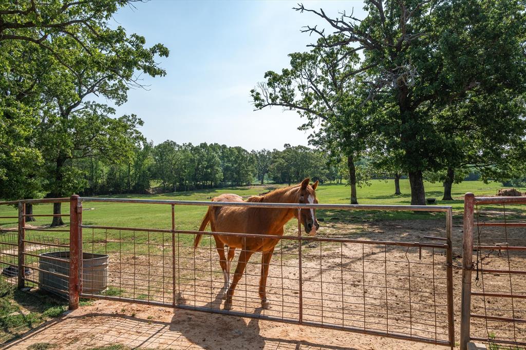 1226 VZ County Road Canton, TX 75103 - Photo 40 of 40
