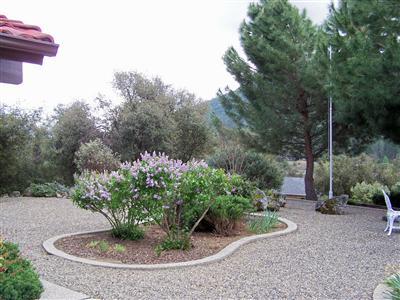 46300 Vista Del Rio Drive Oakhurst, CA 93644 - Photo 4 of 19 Front landscaping