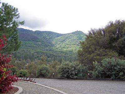 46300 Vista Del Rio Drive Oakhurst, CA 93644 - Photo 6 of 19 View