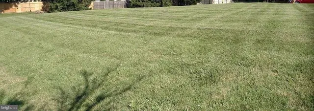 a view of a street with houses