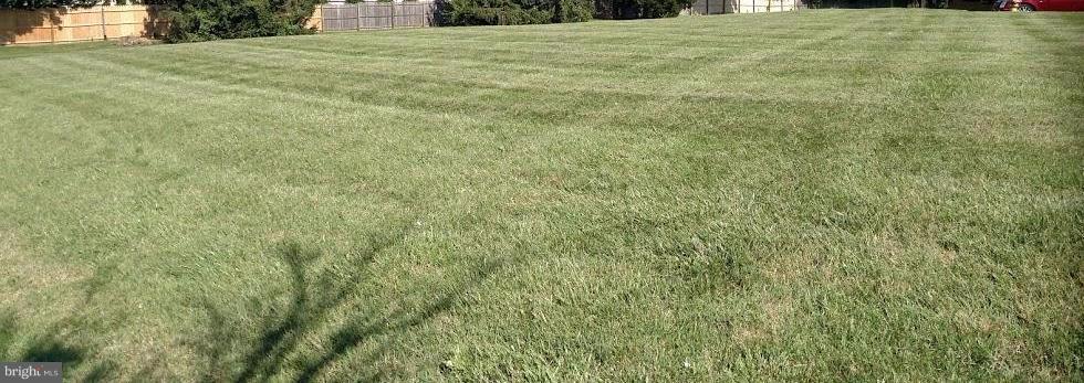 Delaware Avenue Elkton, MD 21921 - Photo 3 of 9 a view of a yard with an outdoor space