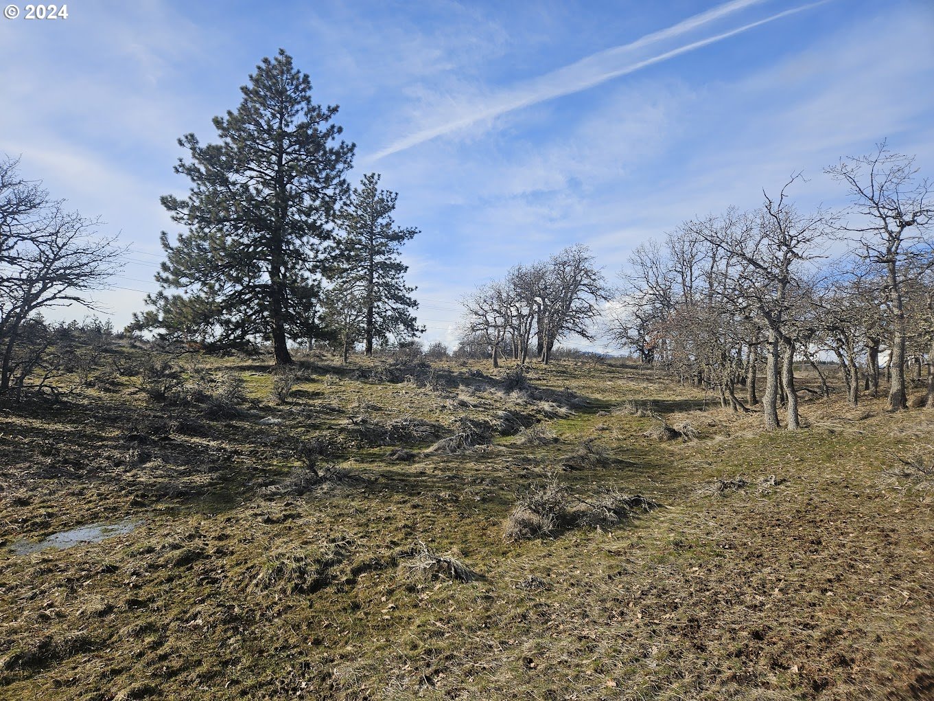 0 Woodland Road Goldendale, WA 98620 - Photo 1 of 20 Gallery Image 1