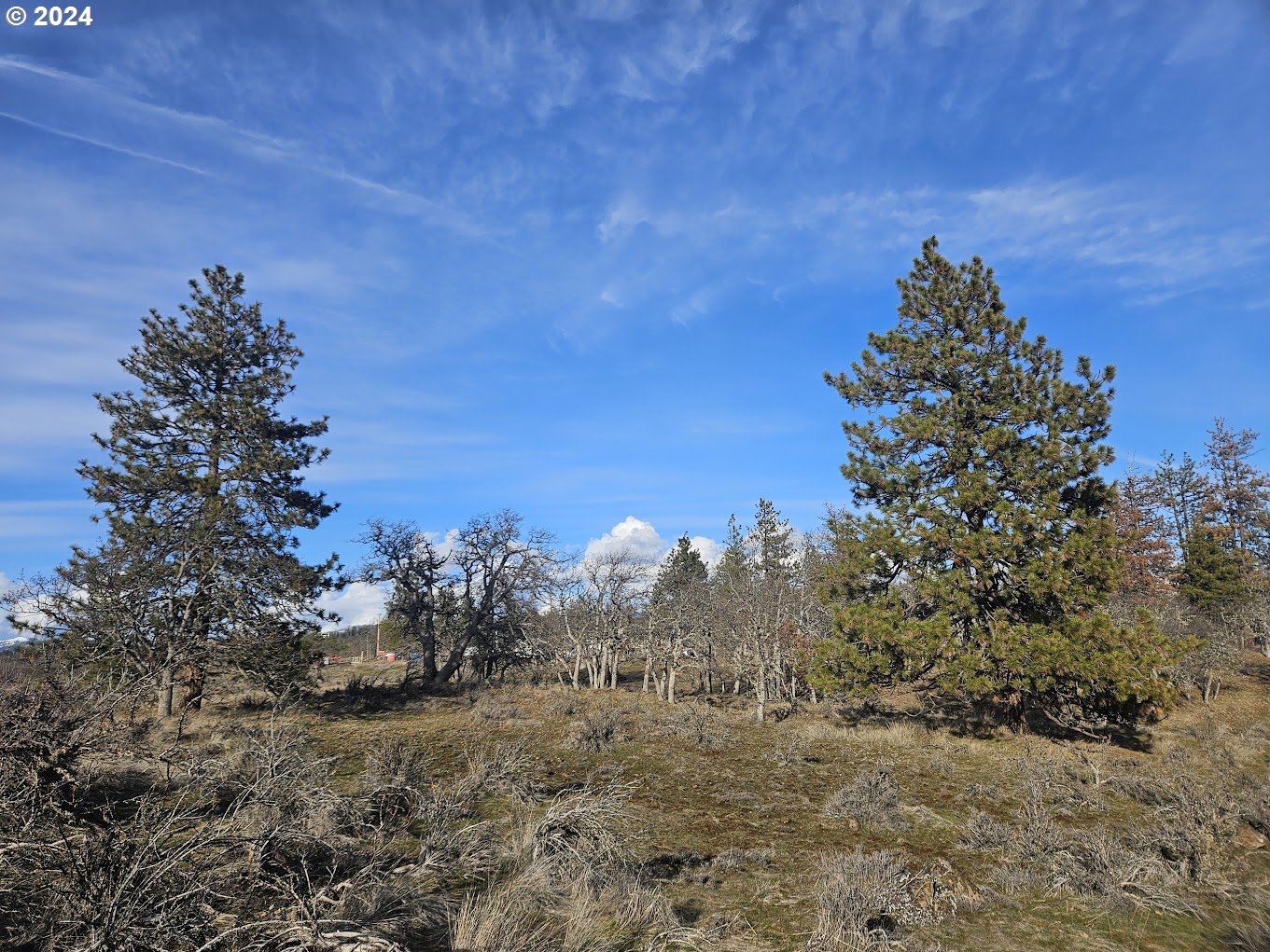 0 Woodland Road Goldendale, WA 98620 - Photo 11 of 20 Gallery Image 11