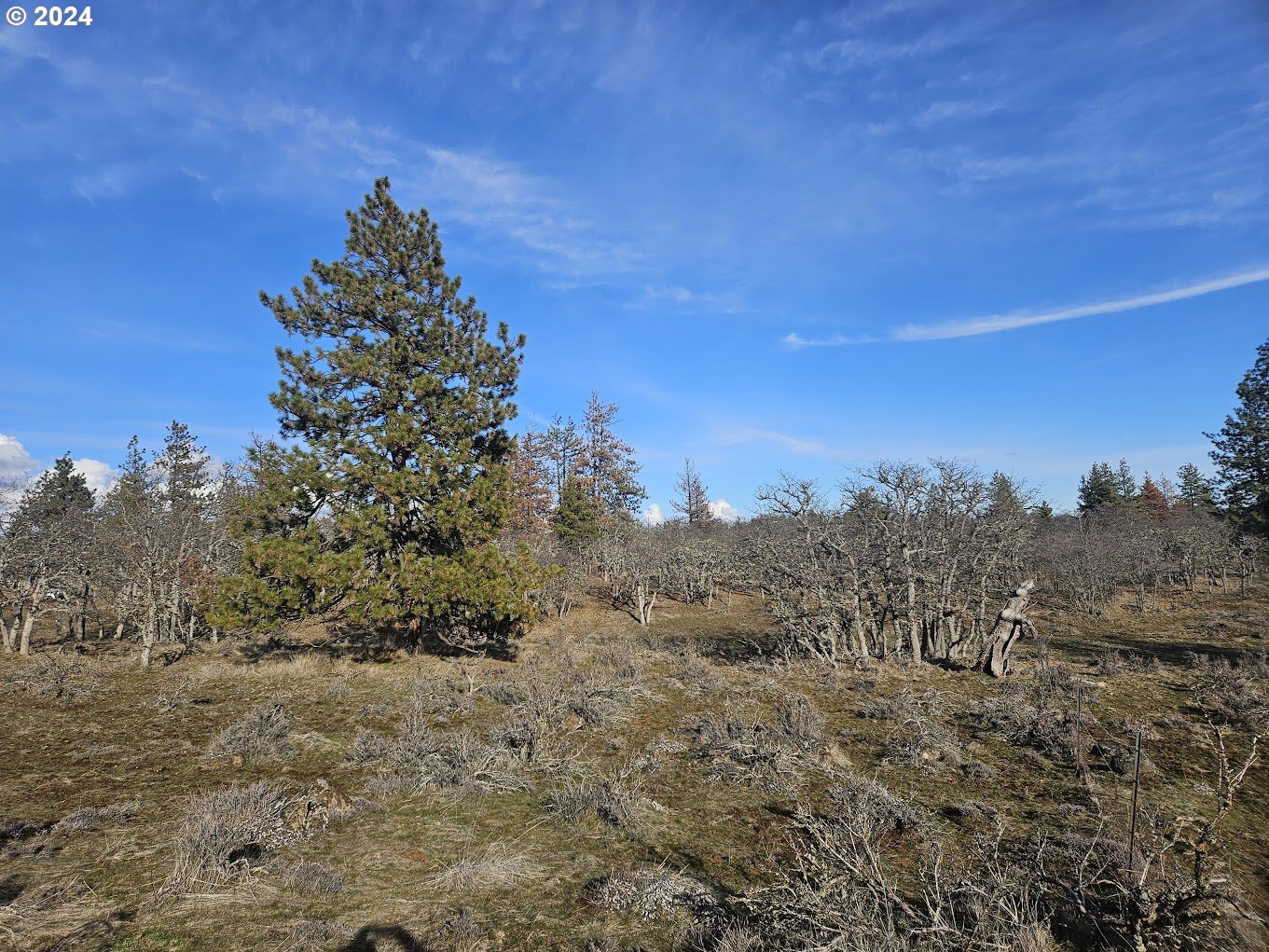 0 Woodland Road Goldendale, WA 98620 - Photo 12 of 20 Gallery Image 12