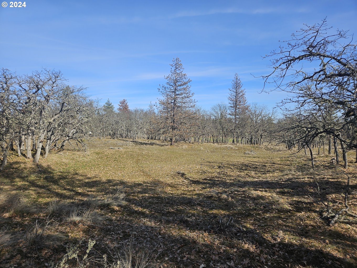 0 Woodland Road Goldendale, WA 98620 - Photo 15 of 20 Gallery Image 15
