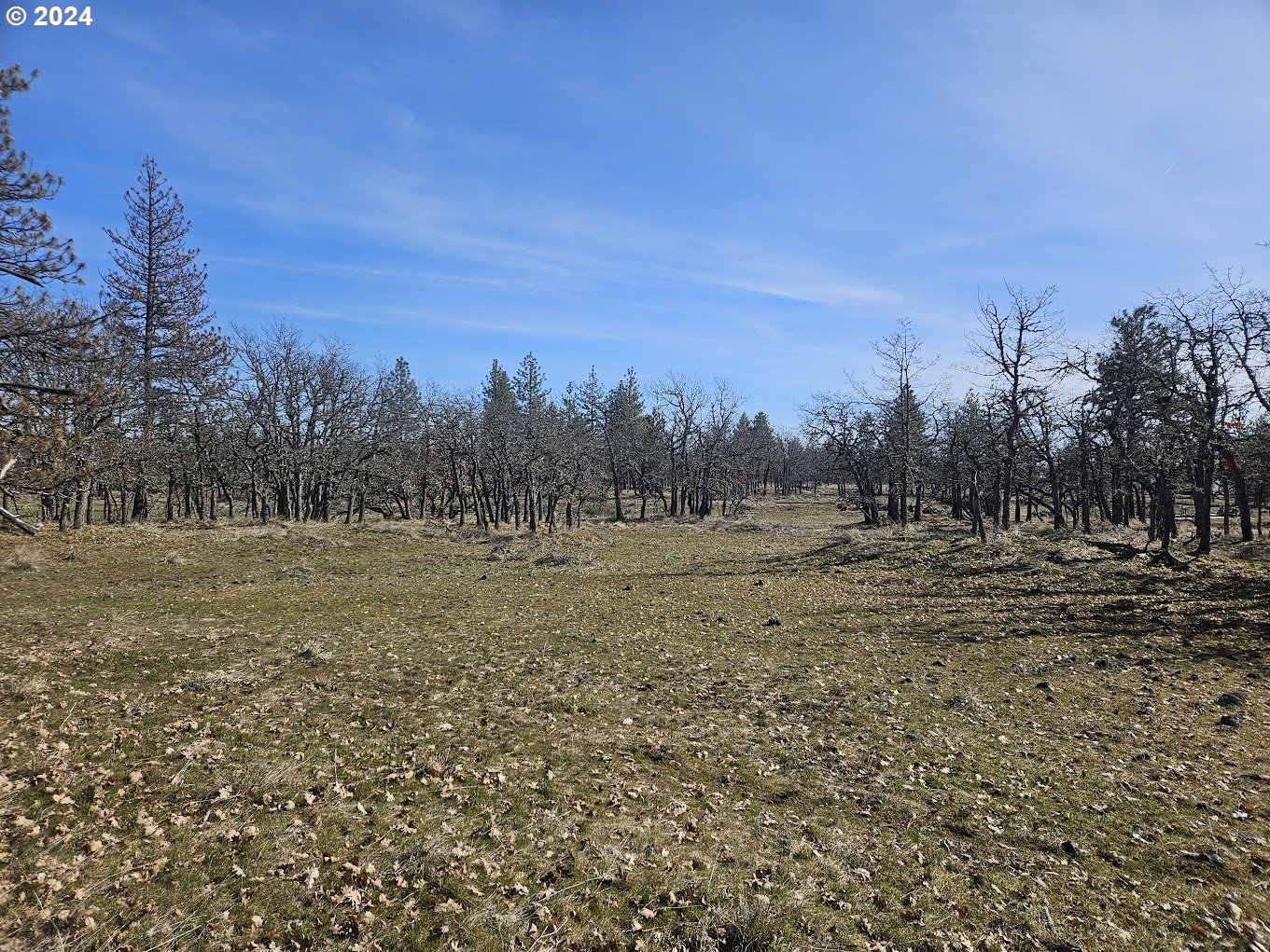 0 Woodland Road Goldendale, WA 98620 - Photo 16 of 20 Gallery Image 16