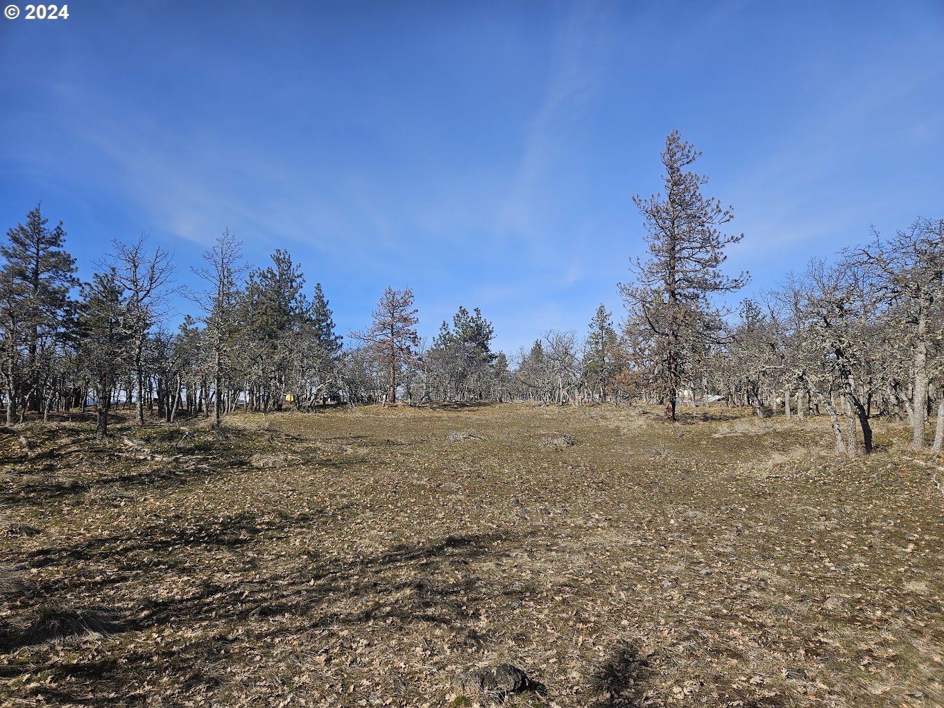 0 Woodland Road Goldendale, WA 98620 - Photo 17 of 20 Gallery Image 17