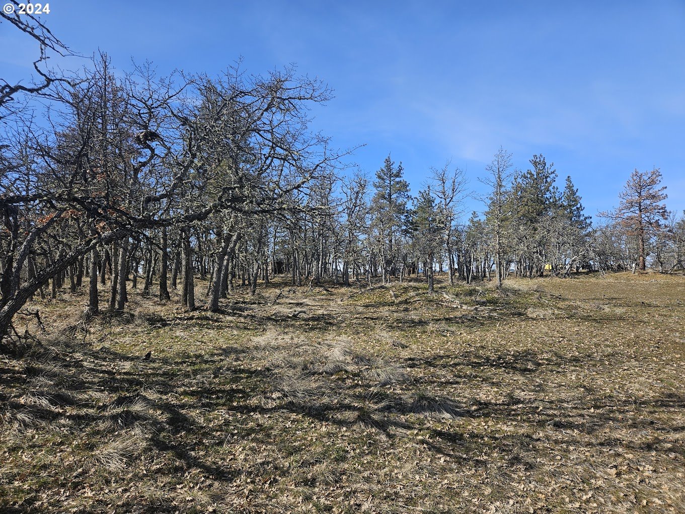 0 Woodland Road Goldendale, WA 98620 - Photo 18 of 20 Gallery Image 18