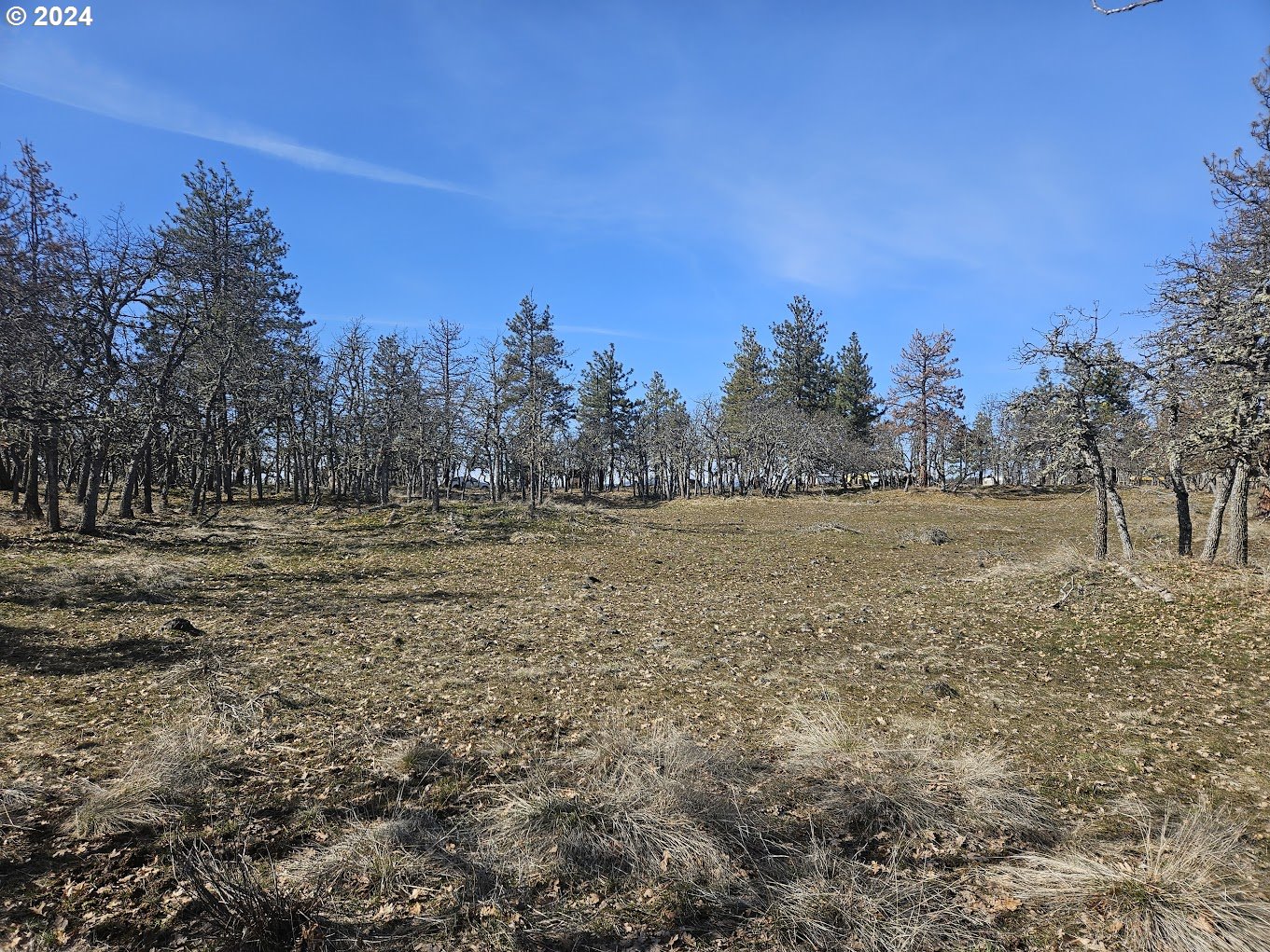 0 Woodland Road Goldendale, WA 98620 - Photo 19 of 20 Gallery Image 19