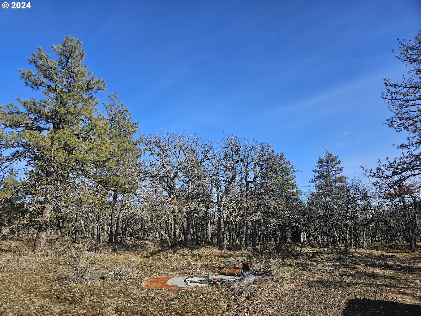 0 Woodland Road Goldendale, WA 98620 - Photo 2 of 20 Gallery Image 2