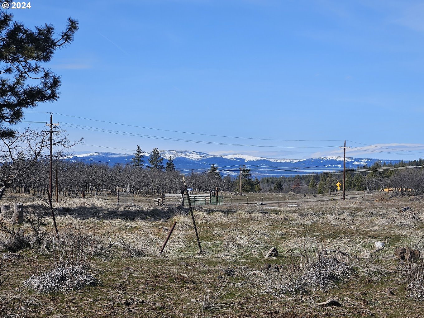 0 Woodland Road Goldendale, WA 98620 - Photo 3 of 20 Gallery Image 3