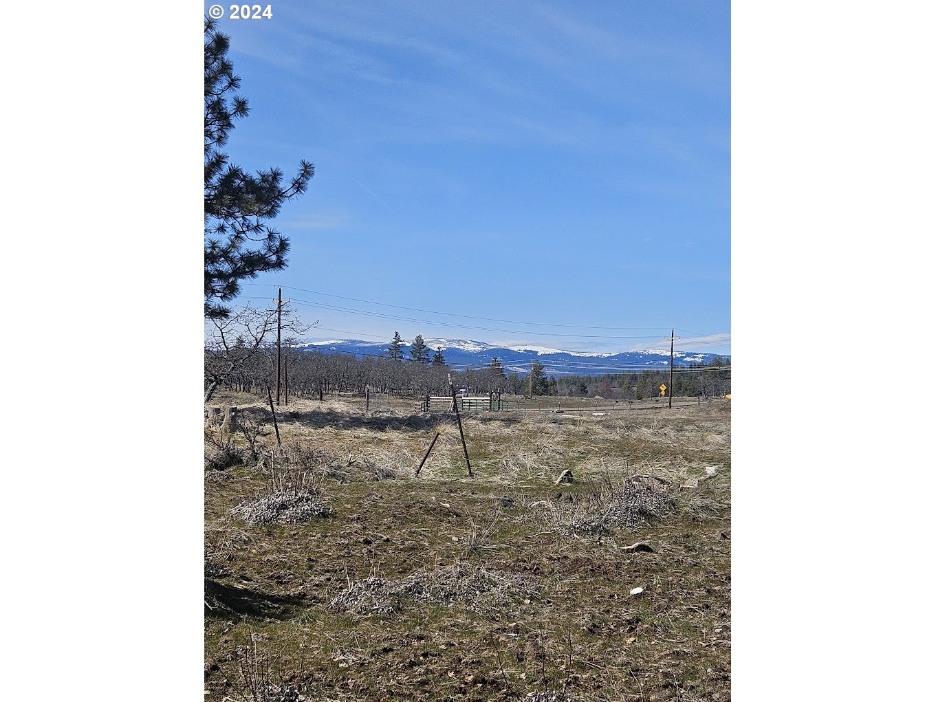0 Woodland Road Goldendale, WA 98620 - Photo 4 of 20 Gallery Image 4