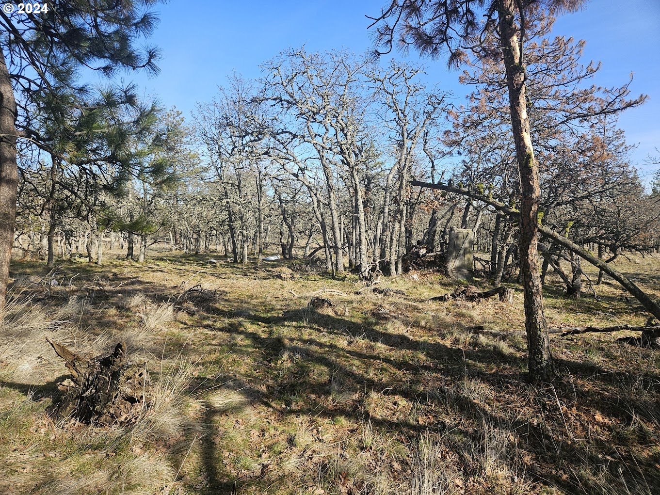 0 Woodland Road Goldendale, WA 98620 - Photo 5 of 20 Gallery Image 5