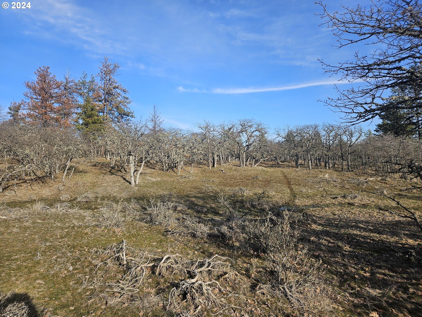 0 Woodland Road Goldendale, WA 98620 - Photo 10 of 20 Gallery Image 10
