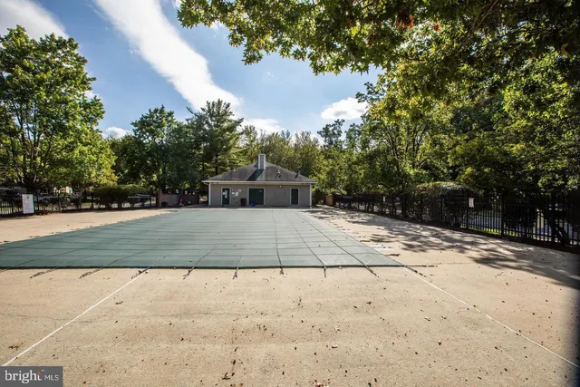 a view of a yard with plants