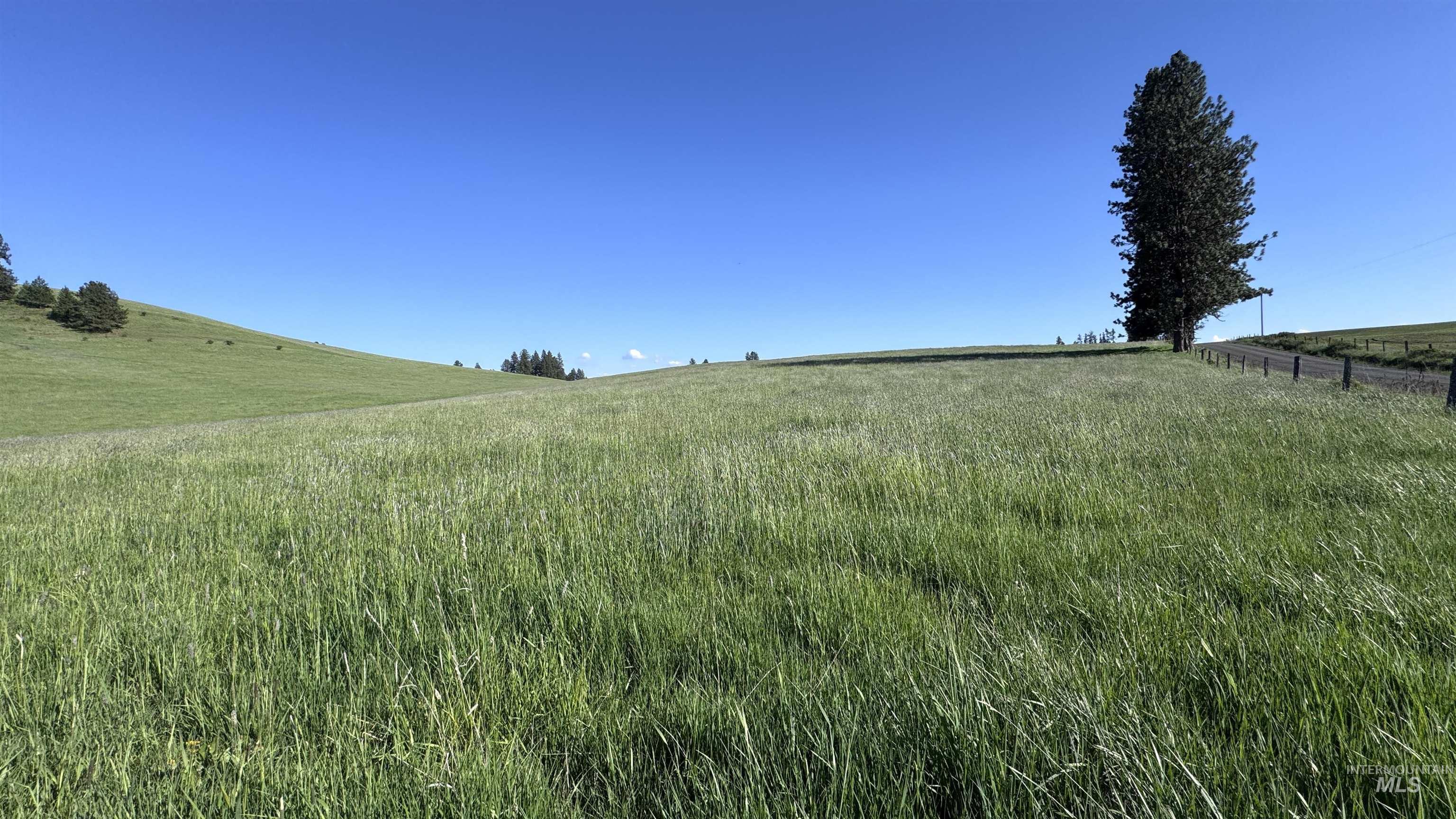 Tbd Harrisburg Road Kamiah, ID 83536 - Photo 44 of 50
