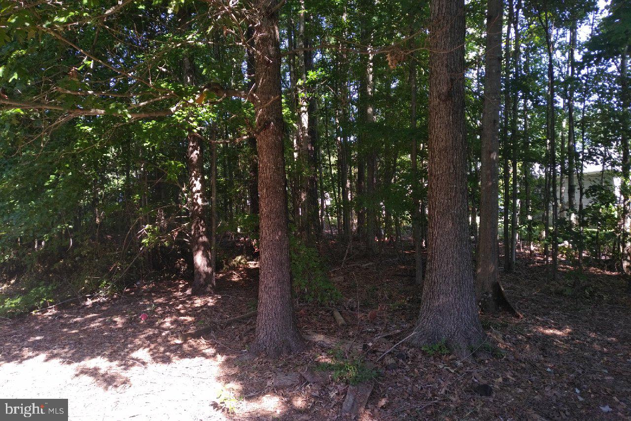 213 Azalea Road Colonial Beach, VA 22443 - Photo 20 of 21 Gallery Image 20