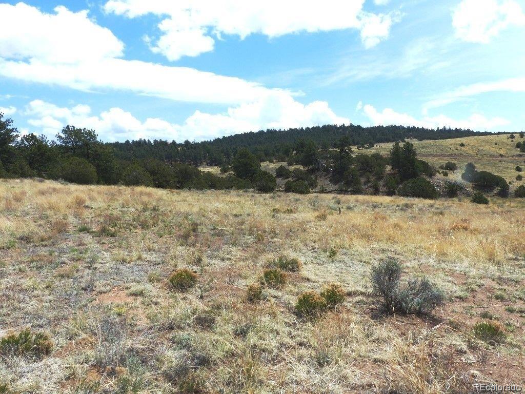 360 Ute Road Westcliffe, CO 81252 - Photo 29 of 33