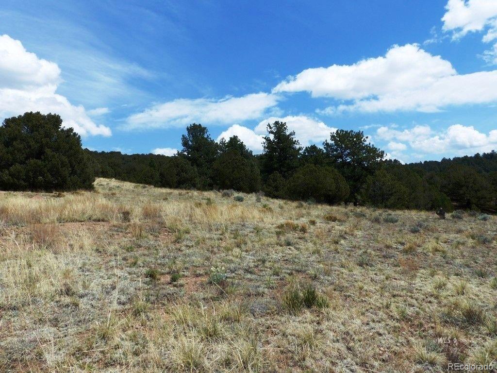 360 Ute Road Westcliffe, CO 81252 - Photo 32 of 33