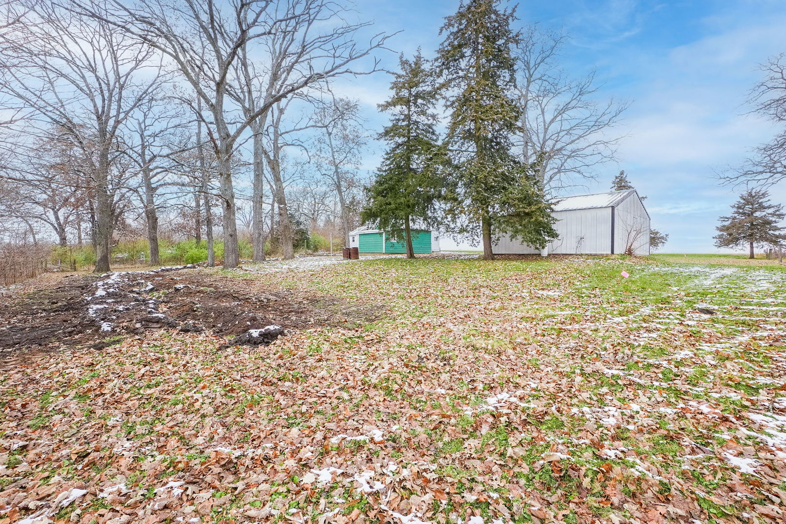 1737 Lee Center Road Amboy, IL 61310 - Photo 16 of 19 a big yard with trees