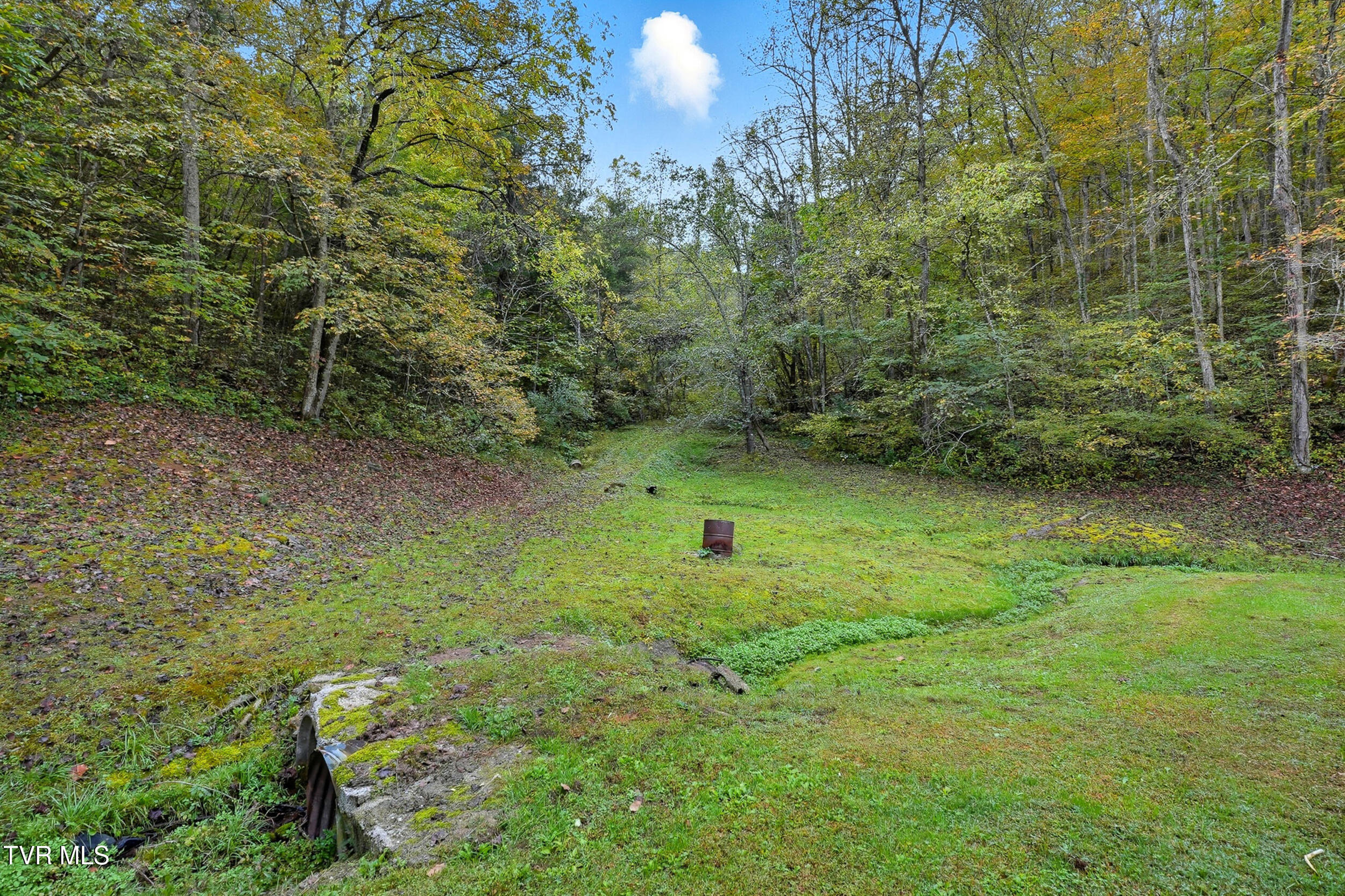 4299 Fairview Road Duffield, VA 24244 - Photo 7 of 45 42_dsc07050