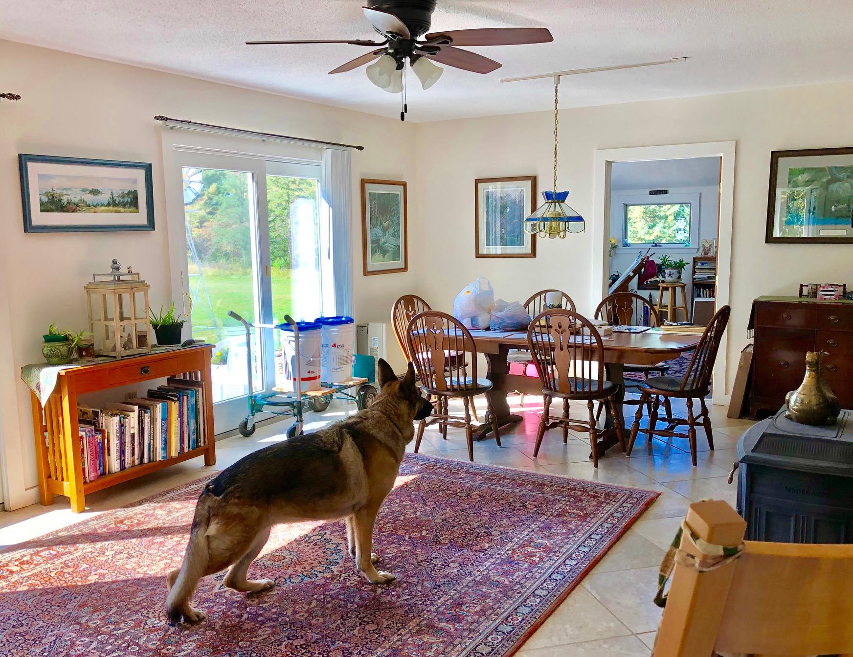 24 Minnow Brook Road Ellsworth, ME 04605 - Photo 25 of 74 Dining room with ceiling fan