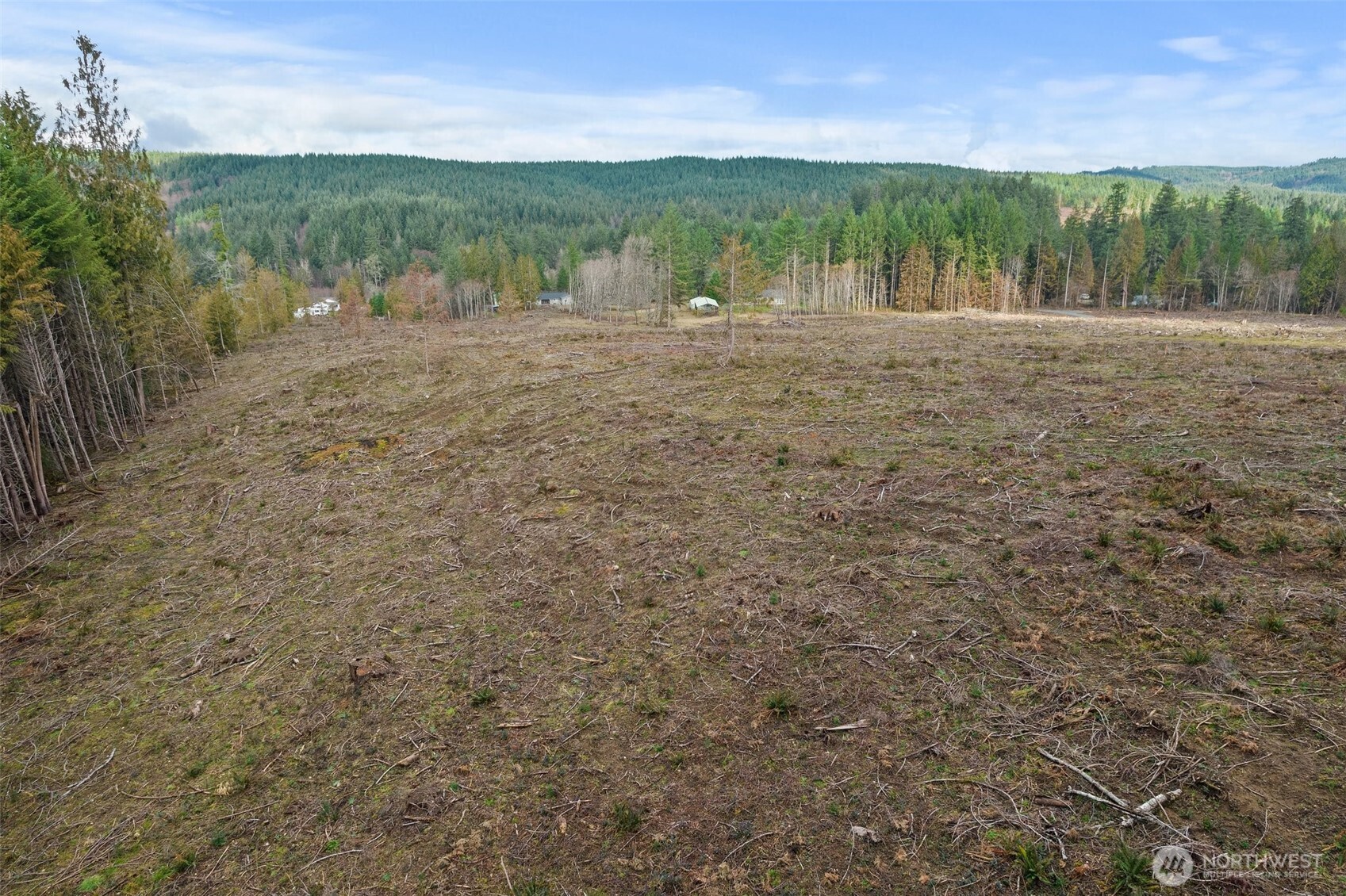 0 Little Hanaford Road, Unit C Centralia, WA 98531 - Photo 12 of 21 a view of an outdoor space with trees all around