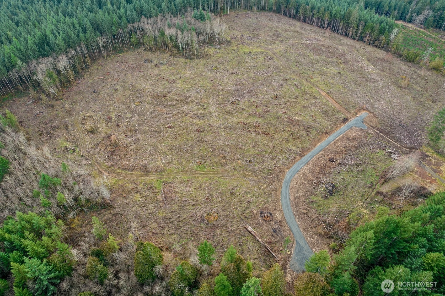 0 Little Hanaford Road, Unit C Centralia, WA 98531 - Photo 15 of 21 a view of a dry yard with trees