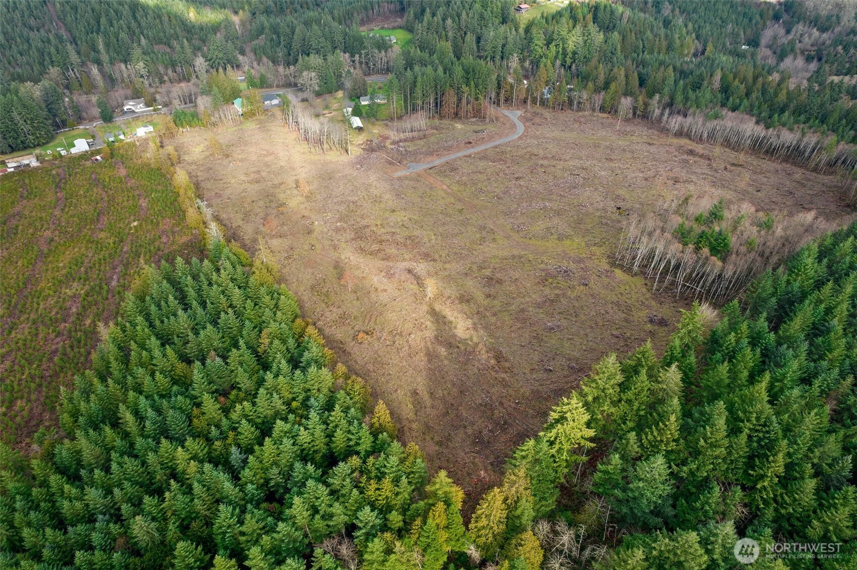 0 Little Hanaford Road, Unit C Centralia, WA 98531 - Photo 10 of 21 a view of a yard with plants and large trees