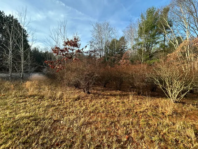 $225,000 | 18651 West Spring Lake Road, Spring Lake, MI 49456