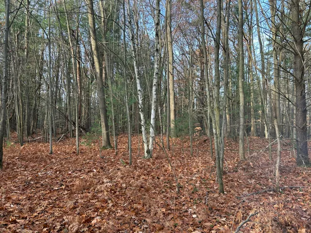 $225,000 | 18651 West Spring Lake Road, Spring Lake, MI 49456