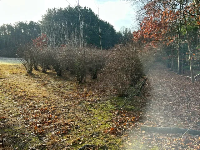 $225,000 | 18651 West Spring Lake Road, Spring Lake, MI 49456