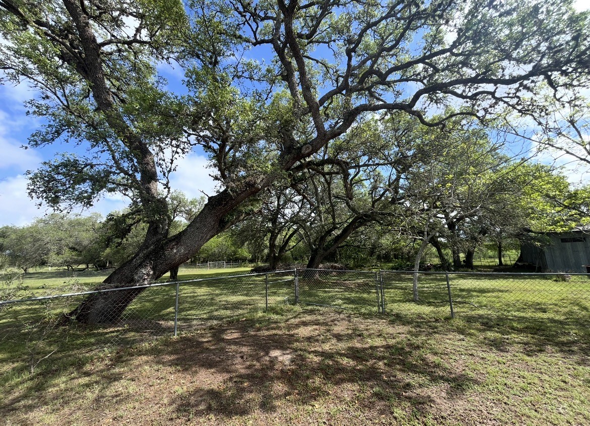 1475 Cr 16 Road Garwood, TX 77442 - Photo 5 of 43 a view of a park