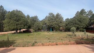 Lot 33 Park Road Payson, AZ 85541 - Photo 2 of 3 IMG_0872
