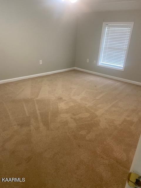 183 Oak Road Norris, TN 37828 - Photo 7 of 17