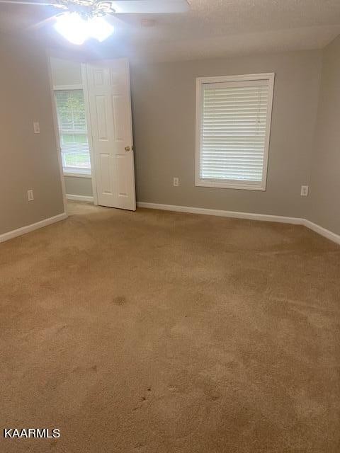183 Oak Road Norris, TN 37828 - Photo 10 of 17