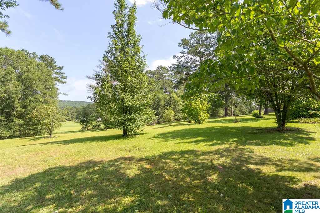 180 Allen Street Piedmont, AL 36272 - Photo 39 of 41