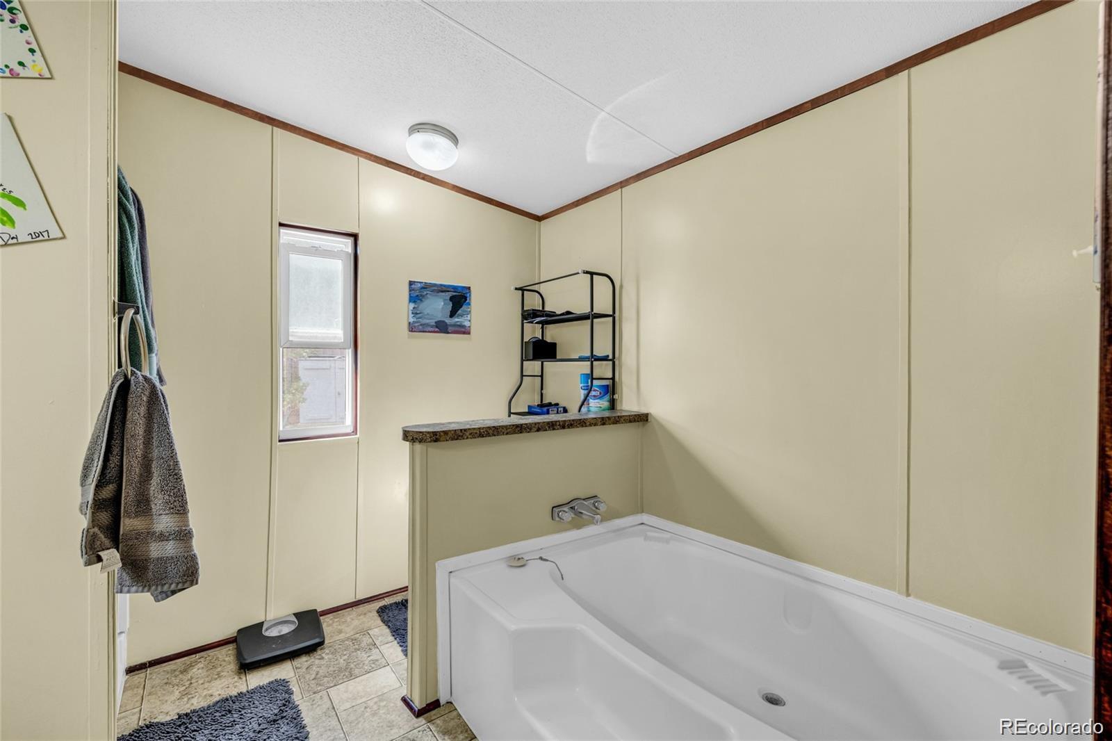 10 Jason Street Castle Rock, CO 80109 - Photo 6 of 11 a bathroom with a bathtub and a sink