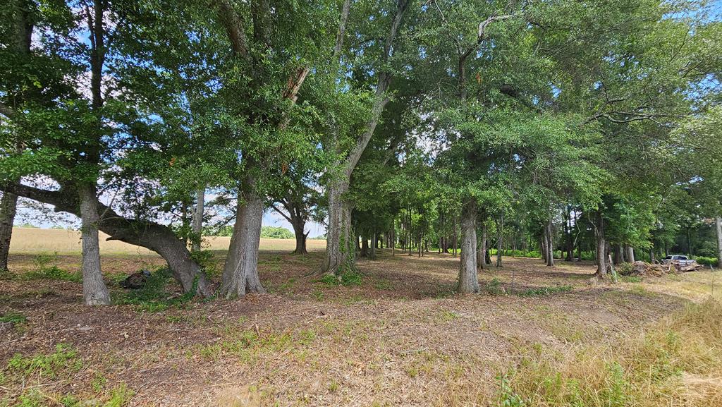 92 County Road 92 Slocomb, AL 36375 - Photo 50 of 58